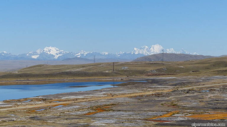 pampas de junin 002